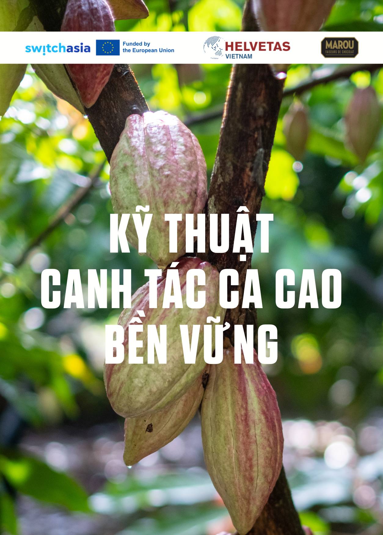 Manual - Kỹ thuật canh tác ca cao bền vững