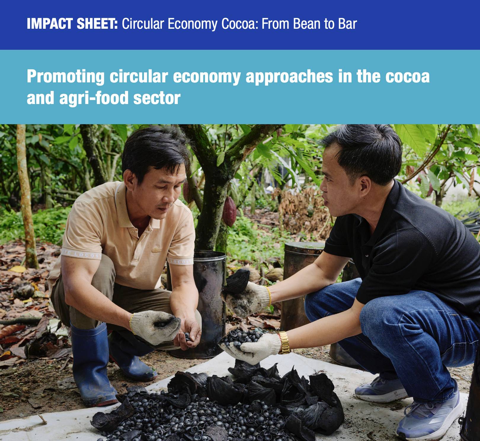 Impact Sheet: Circular Economy Cocoa: From Bean to Bar