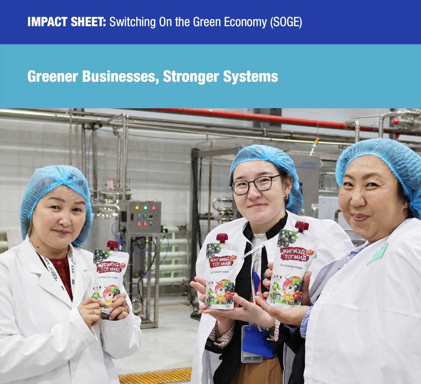 Impact Sheet: Switching On the Green Economy (SOGE)